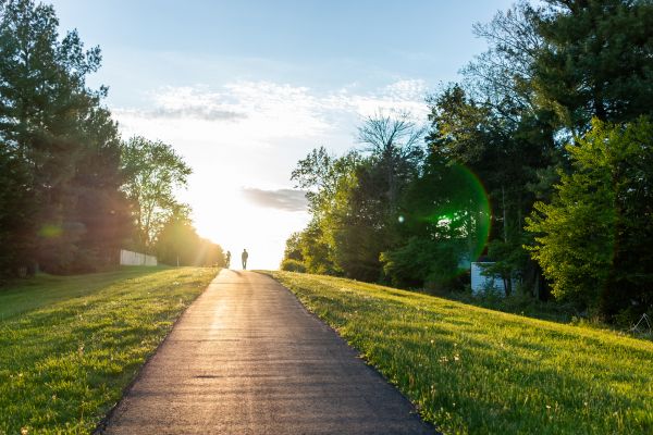 Asphalt Pathway Installation in Parker
