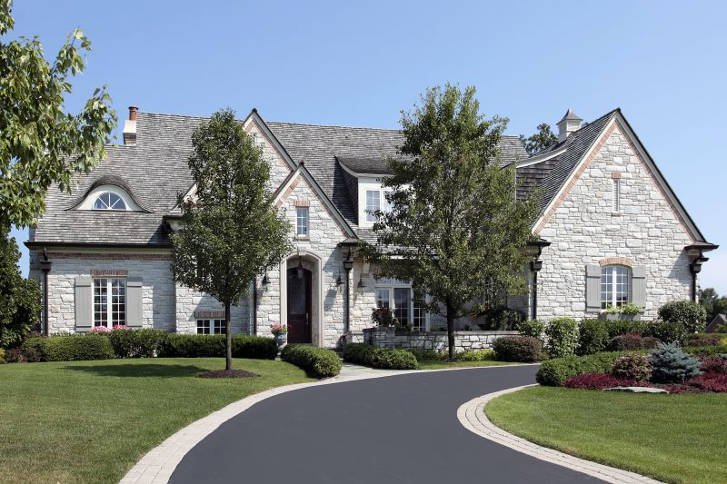 Asphalt Driveway Repair detail